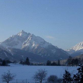 Haus Angelika - Bed & Breakfast - Innsbruck/Igls 외부 사진